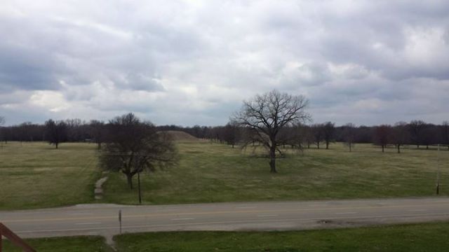 Here's a view of the mounds from the first terrace of Monk's Mound. The city would have spread out in all directions from this view.